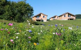 Chalets De Trémontagne 3 Étoiles Nanchez